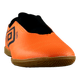 60000-1.png