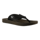 59494-1.png