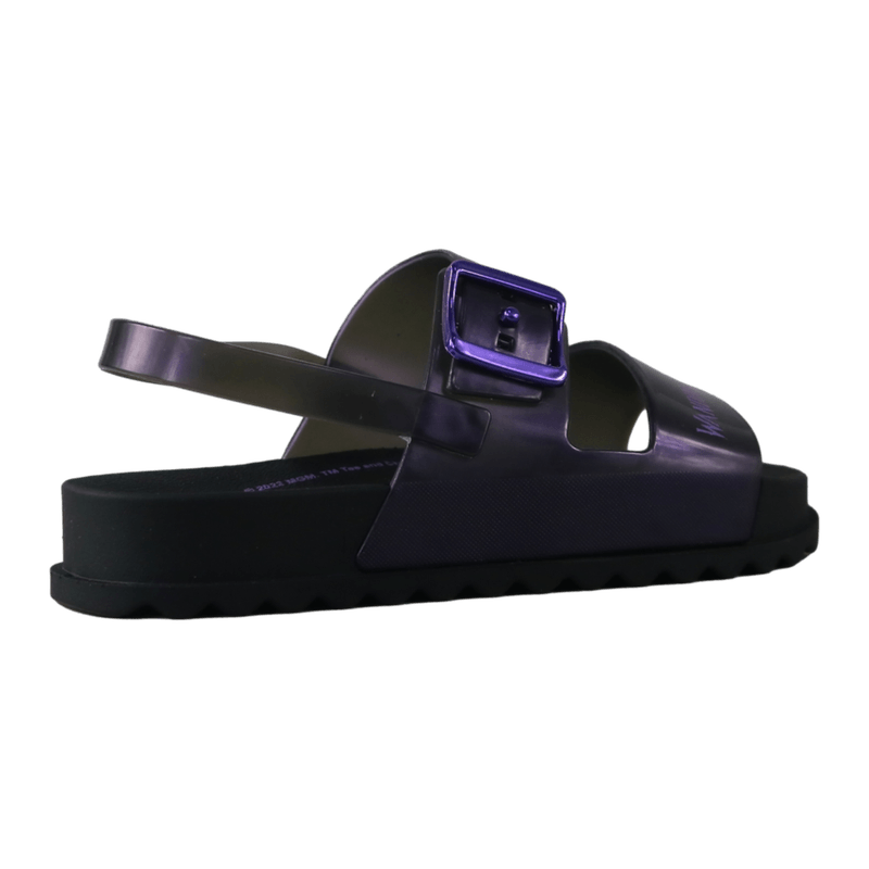 61641-3.png