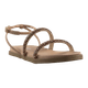 61309-1.png