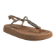 62163-1.png