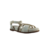 62259-1.png