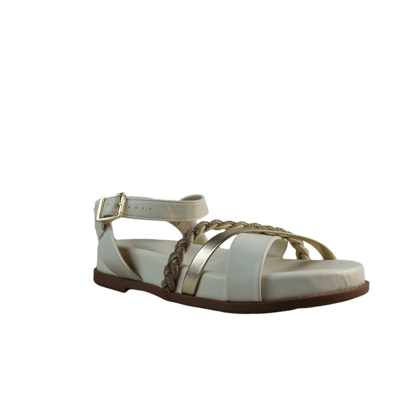 62259-1.png