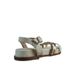 62259-3.png