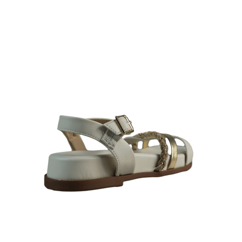 62259-3.png