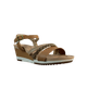 62250-1.png