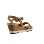 62250-4.png