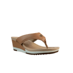 62253-1.png
