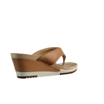 62253-3.png