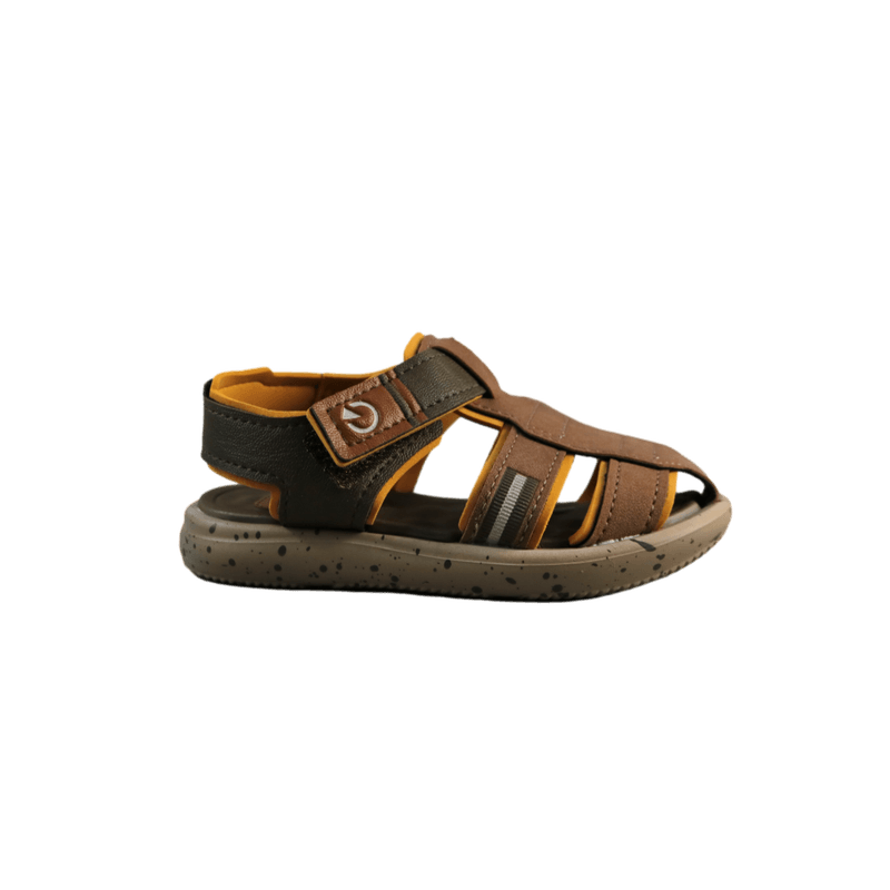 62324-2.png