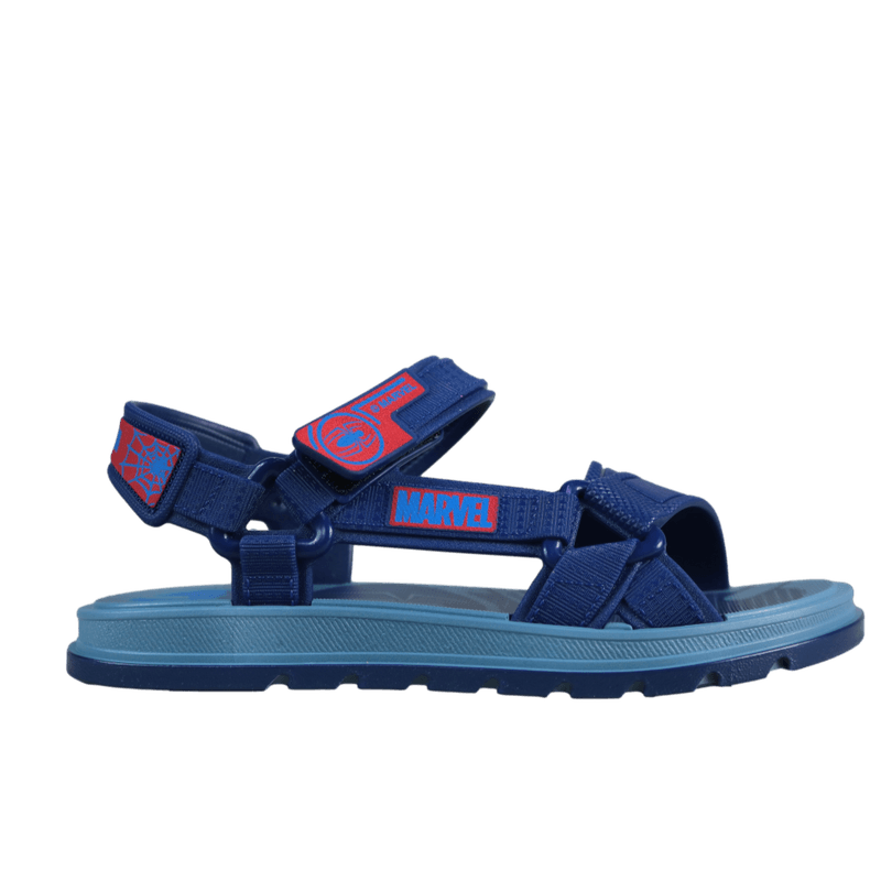 62750-2.png