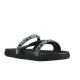 62448-1.png