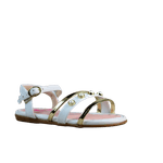 62437-1.png