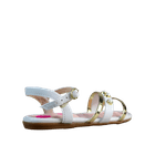 62437-3.png