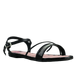 62455-1.png