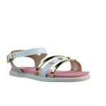 62458-1.png