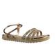 63447-1.png