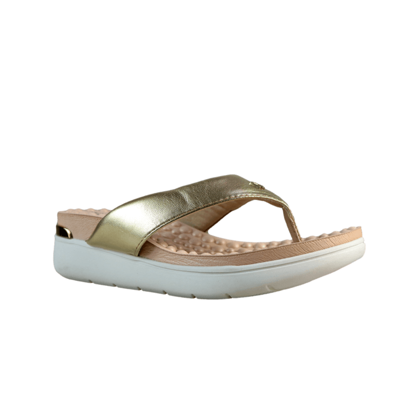 63033-1_clipped_rev_1.png