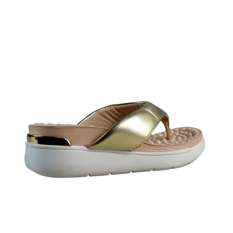 63033-3_clipped_rev_1.png