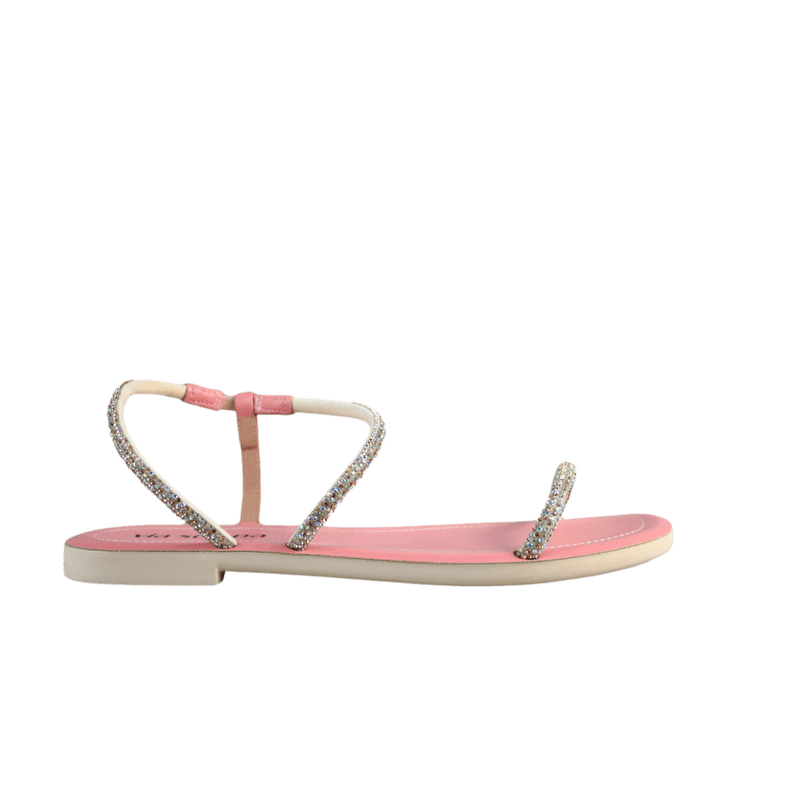62804-2.png