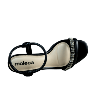 Salto MOLECA