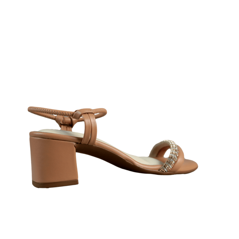 63255-3.png