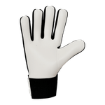 60805-2.png