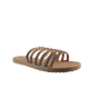 62833-1.png