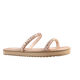 66275_1_clipped_rev_1.png
