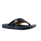 64281-1_clipped_rev_1.png