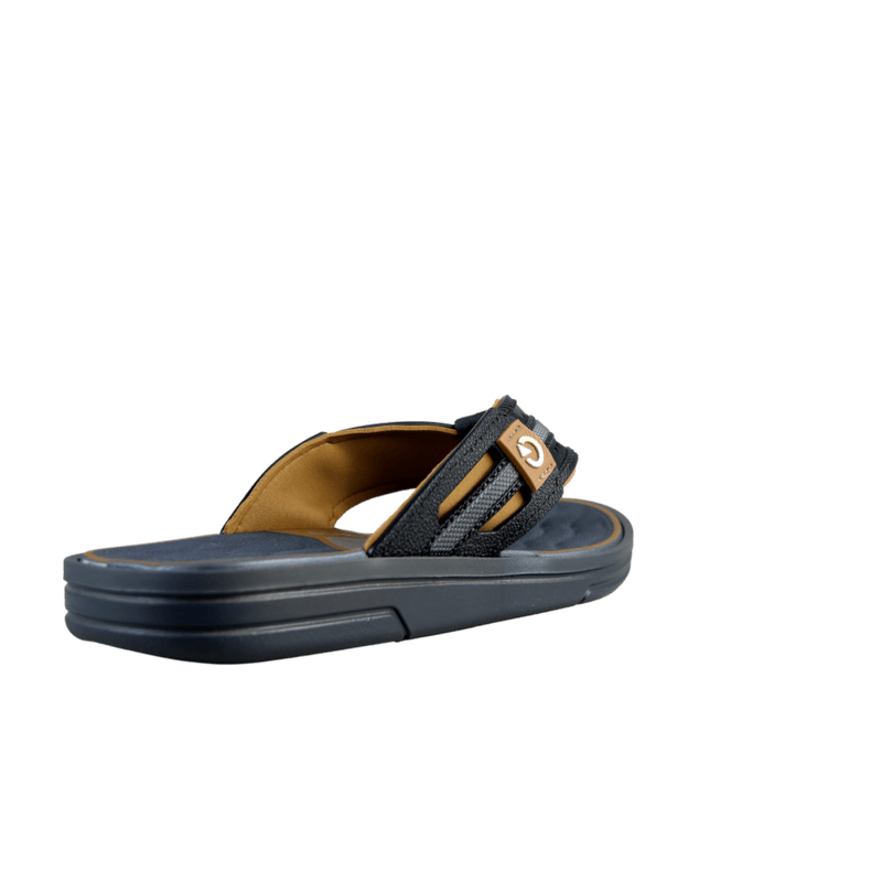 64281-3_clipped_rev_1.png
