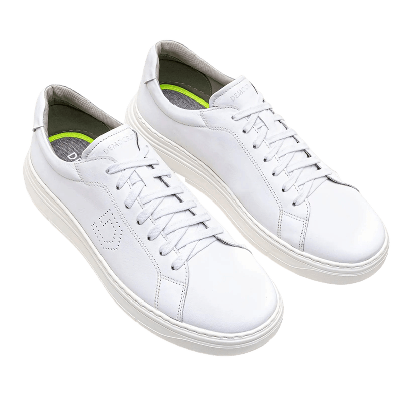 169912-1600-1600_clipped_rev_1.png