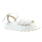 66292_1_clipped_rev_1.png