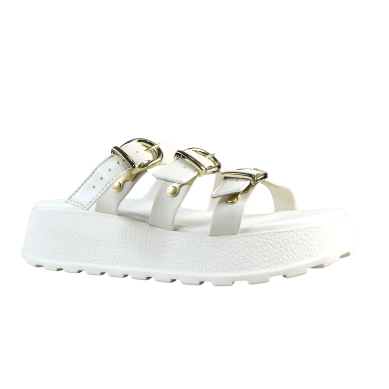 66290_1_clipped_rev_1.png