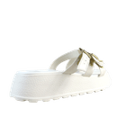 66290_3_clipped_rev_1.png