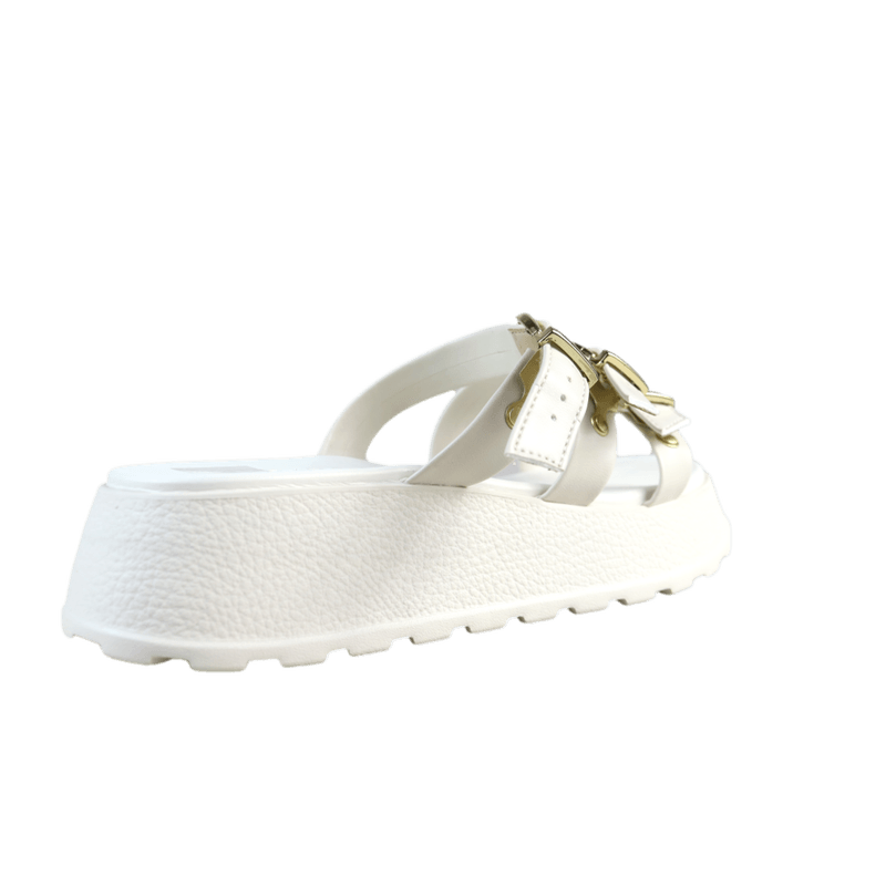 66290_3_clipped_rev_1.png