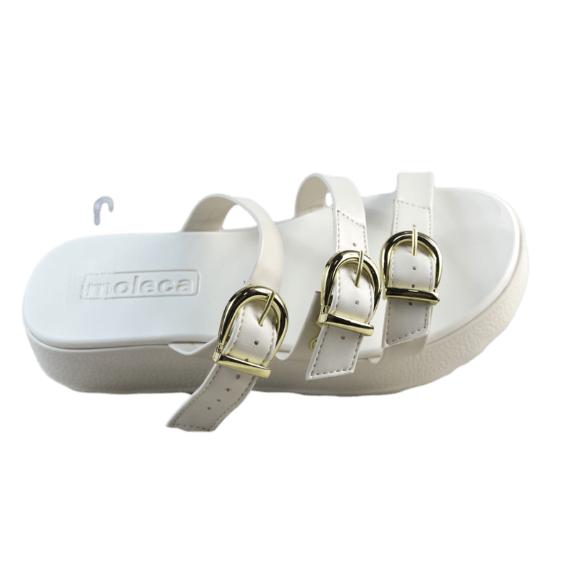 66290_4_clipped_rev_1.png