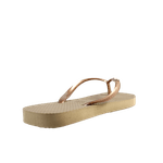 64804-4_clipped_rev_1.png