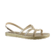 65465_1_clipped_rev_1.png