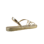 65465_3_clipped_rev_1.png