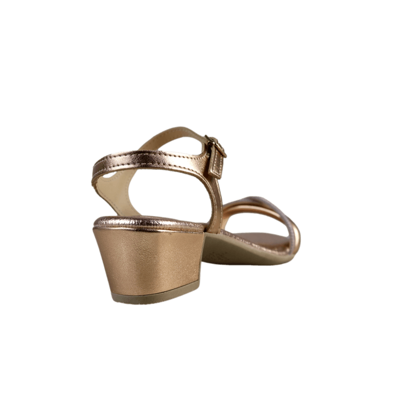 64831-3_clipped_rev_1.png