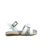 66028-2_clipped_rev_1.png