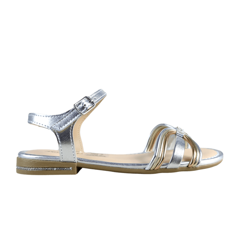 64843-2_clipped_rev_1.png