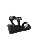66516-3_clipped_rev_1.png