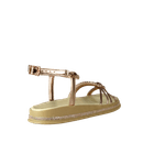 66752-3_clipped_rev_1.png