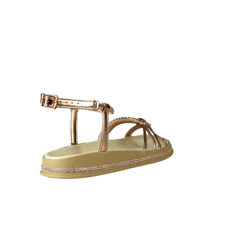 66752-3_clipped_rev_1.png