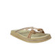 64305-1_clipped_rev_1.png