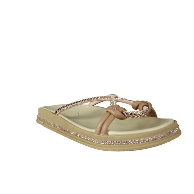 64305-1_clipped_rev_1.png