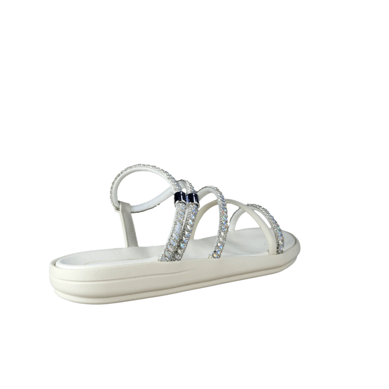 66493-3_clipped_rev_1.png