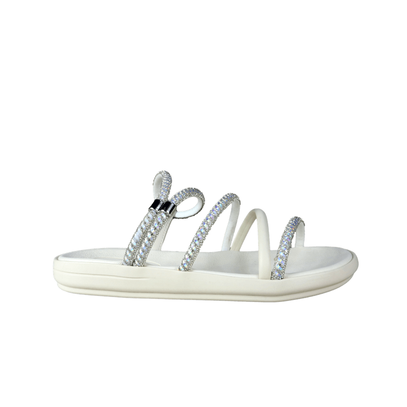 66493-2_clipped_rev_1.png